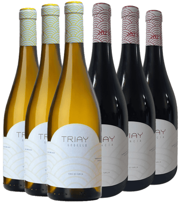 Pack Degustación Bodegas Triay Monterrei DO