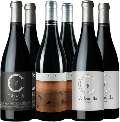 Pack degustación Pago Calzadilla VP BIO Pack degustación Pago Calzadilla VP BIO