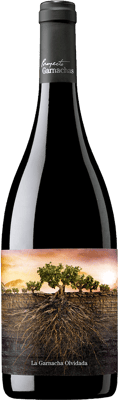 2022 La Garnacha Olvidada de Aragón Calatayud DO