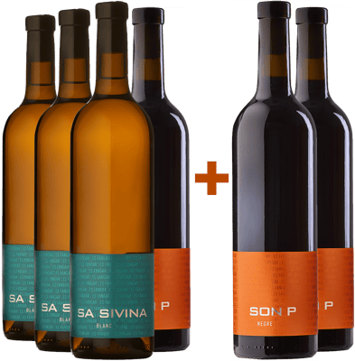 Pack descuento 4+2 Es Fangar Vins Plà i Levant DO BIO