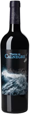 2021 Puntes de Calnegre Montsant DO