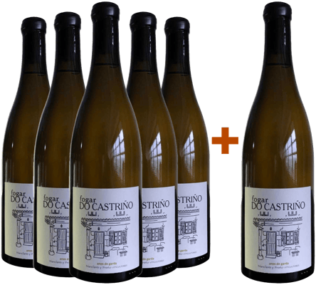 Pack Descuento 5+1 Nanclares Fogar do Castriño Rías Baixas DO Pack Descuento 5+1 Nanclares Fogar do Castriño Rías Baixas DO