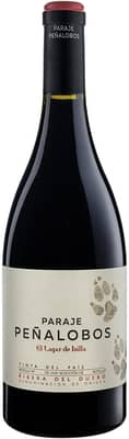 2021 Lagar de Isilla Paraje Peñalobos Ribera del Duero DO