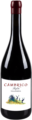 2021 Cámbrico Villanueva Sierra de Salamanca DOP