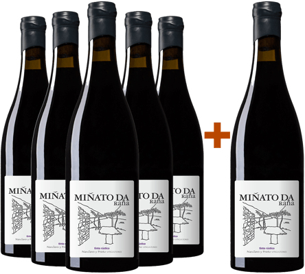 Pack Descuento 5+1 Nanclares Miñato da Raña