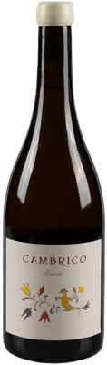2020 Cámbrico Rufete Blanco Pizarra Sierra de Salamanca DOP