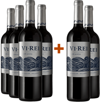 Pack Descuento 4+2 Vi Rei Crianza Plà i Levant DO
