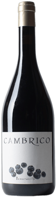 2012 Cámbrico Tempranillo Sierra de Salamanca DOP