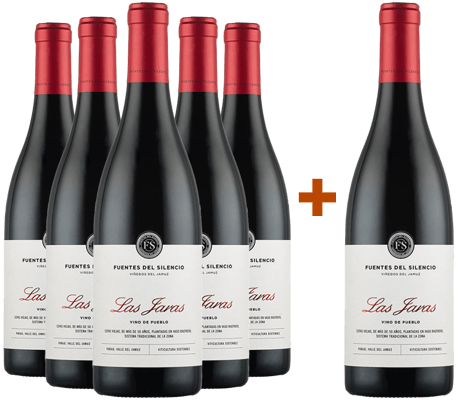 Pack Descuento 5+1 Fuentes del Silencio Las Jaras Castilla y León VT