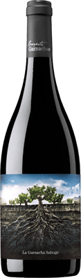 2022 La Garnacha Salvaje del Moncayo Ribera del Queiles VT