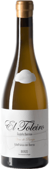 2019 Adriá El Toleiro Bierzo DO