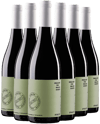 Pack descuento Bodegas Aessir Syrah BIO