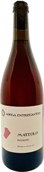 2024 Mateolo Rosado