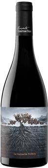 2021 La Garnacha Perdida del Pirineo Ribera del Queiles VT