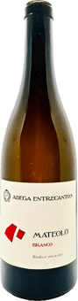 2024 Mateolo Branco