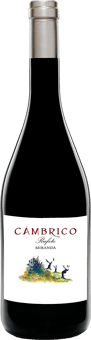 2021 Cámbrico Miranda Sierra de Salamanca DOP