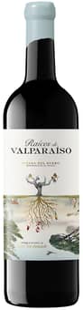 2021 Raíces de Valparaíso Ribero del Duero DO