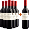 Pack descuento 5+1 Aptus Ribera del Duero DO