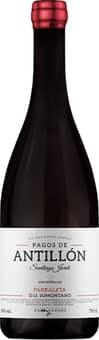 2021 Pagos de Antillon Parraleta Somontano DO