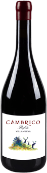2021 Cámbrico Villanueva Sierra de Salamanca DOP