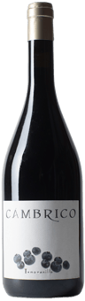 2012 Cámbrico Tempranillo Sierra de Salamanca DOP