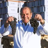 Bodegas Hermanos Peciña