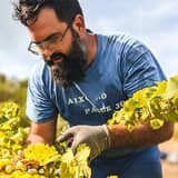 Manu Guardiola Viticultor