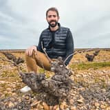 Martinsancho Bodega y Viñedos