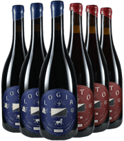 ¡Descubre los mejores vinos de Garnacha en TRAVINO!
