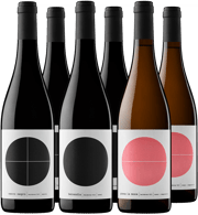 ¡Descubre los mejores vinos de Valencia!