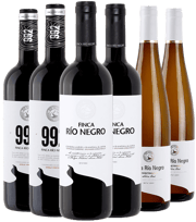 ¡Descubre los vinos de Finca Río Negro!