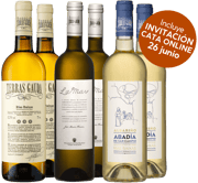 ¡Pack degustación Terras Gauda + cata online!