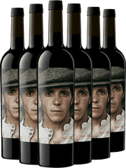 ¡Descubre los mejores vinos tintos en TRAVINO!