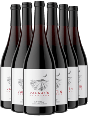 ¡Descubre los vinos aclamados por la crítica!