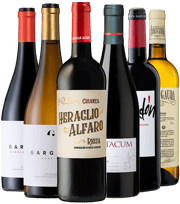 ¡Descubre las mejores ofertas en TRAVINO!