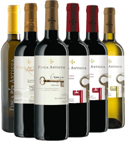 ¡Descubre los mejores vinos de Castilla-La Mancha!