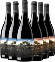 ¡Descubrimientos que no te puedes perder!