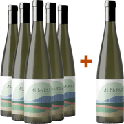 ¡Explora el mundo del vino natural en TRAVINO!