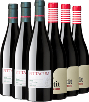 ¡Descubre los mejores vinos del Bierzo!