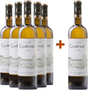 ¡Descubre los mejores vinos de Galicia en TRAVINO!