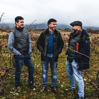 3 Viñerones