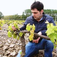 Bodegas Urbina