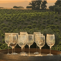 Txinpanzè Vinos