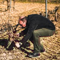 Bodegas Briego