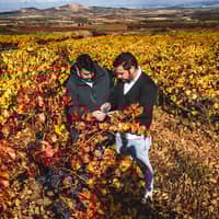 Vinos con amigos