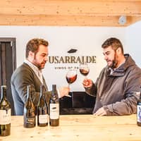 Usarralde vinos de familia
