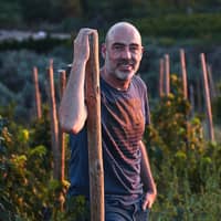 Costers del Priorat