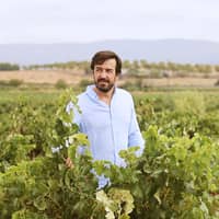 Vinos Ferrín y Cordero