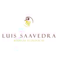 Luis Saavedra