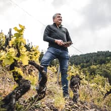 Ladislao Méndez León